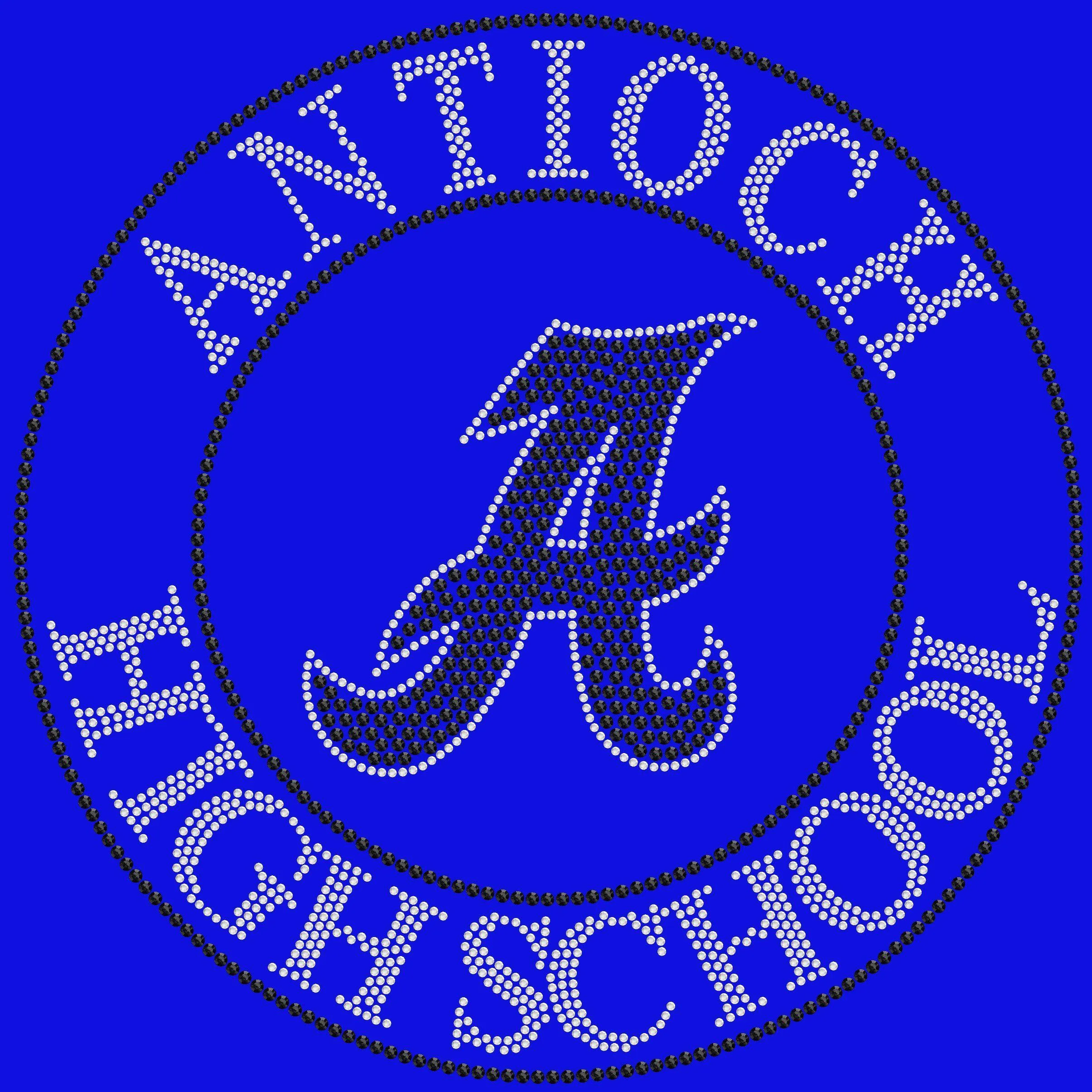 Antioch High School Holographic Spangle Sparkle Bling Shirt, tank or hoodie