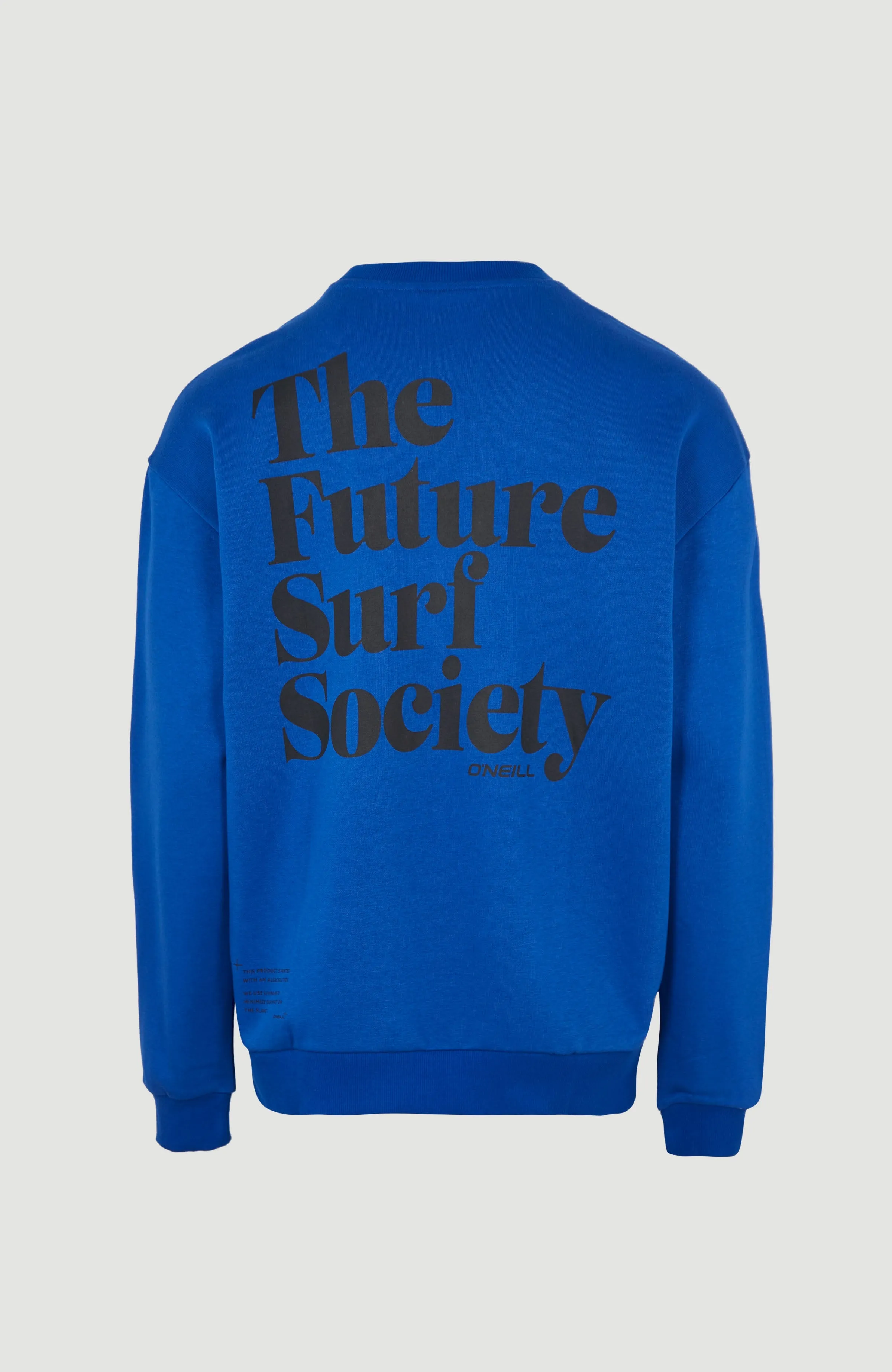 Future Surf Society Sweatshirt | Surf the web Blue