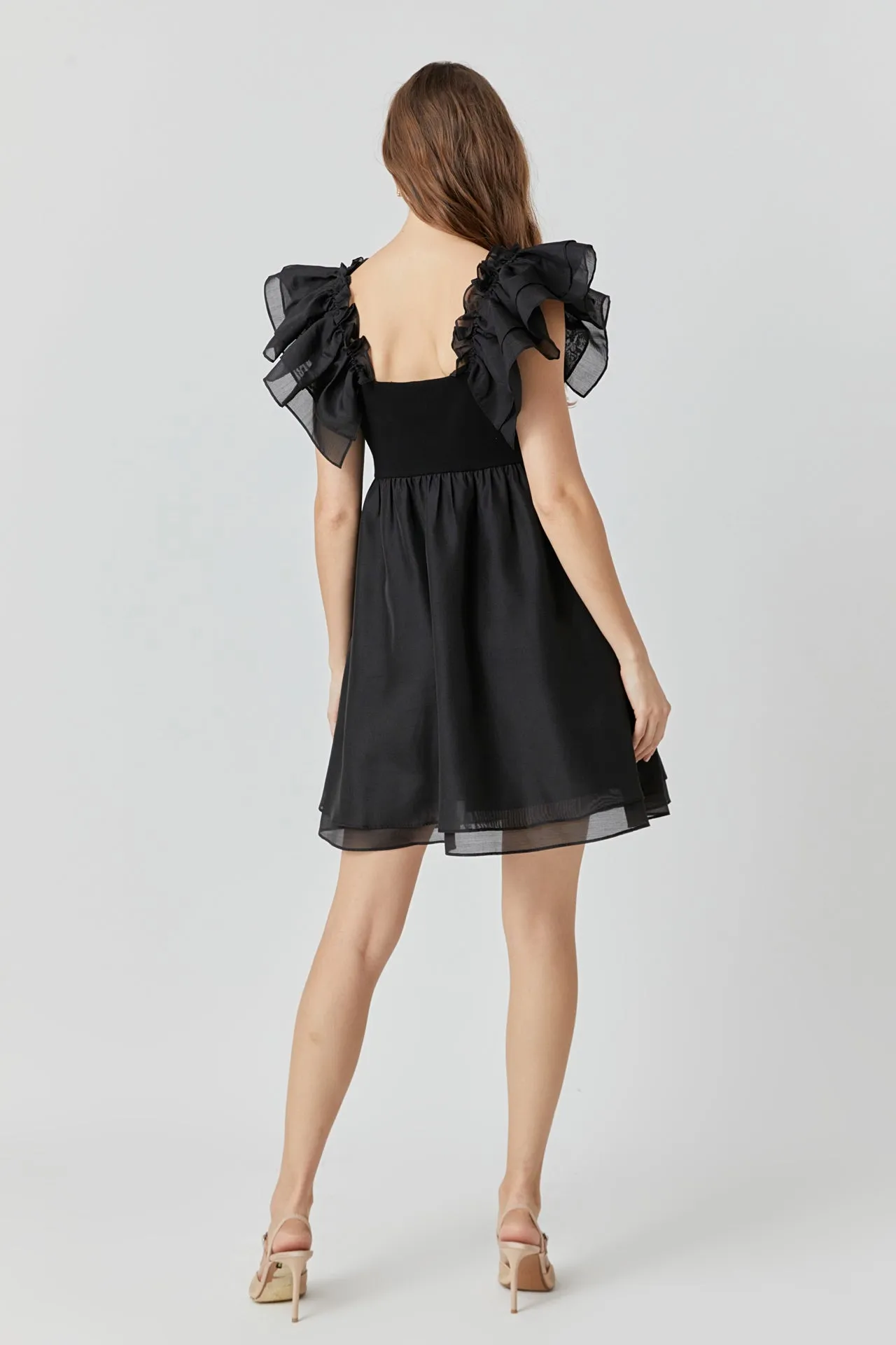 Organza Sleeve Mini Dress