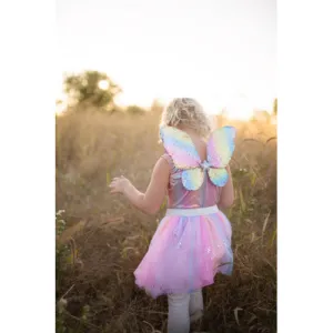 Rainbow Fairy Dress and Wings