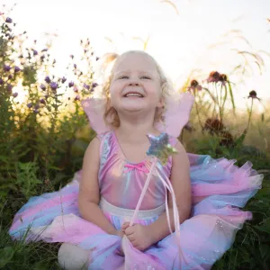 Rainbow Sequins Skirt, Wings & Wand