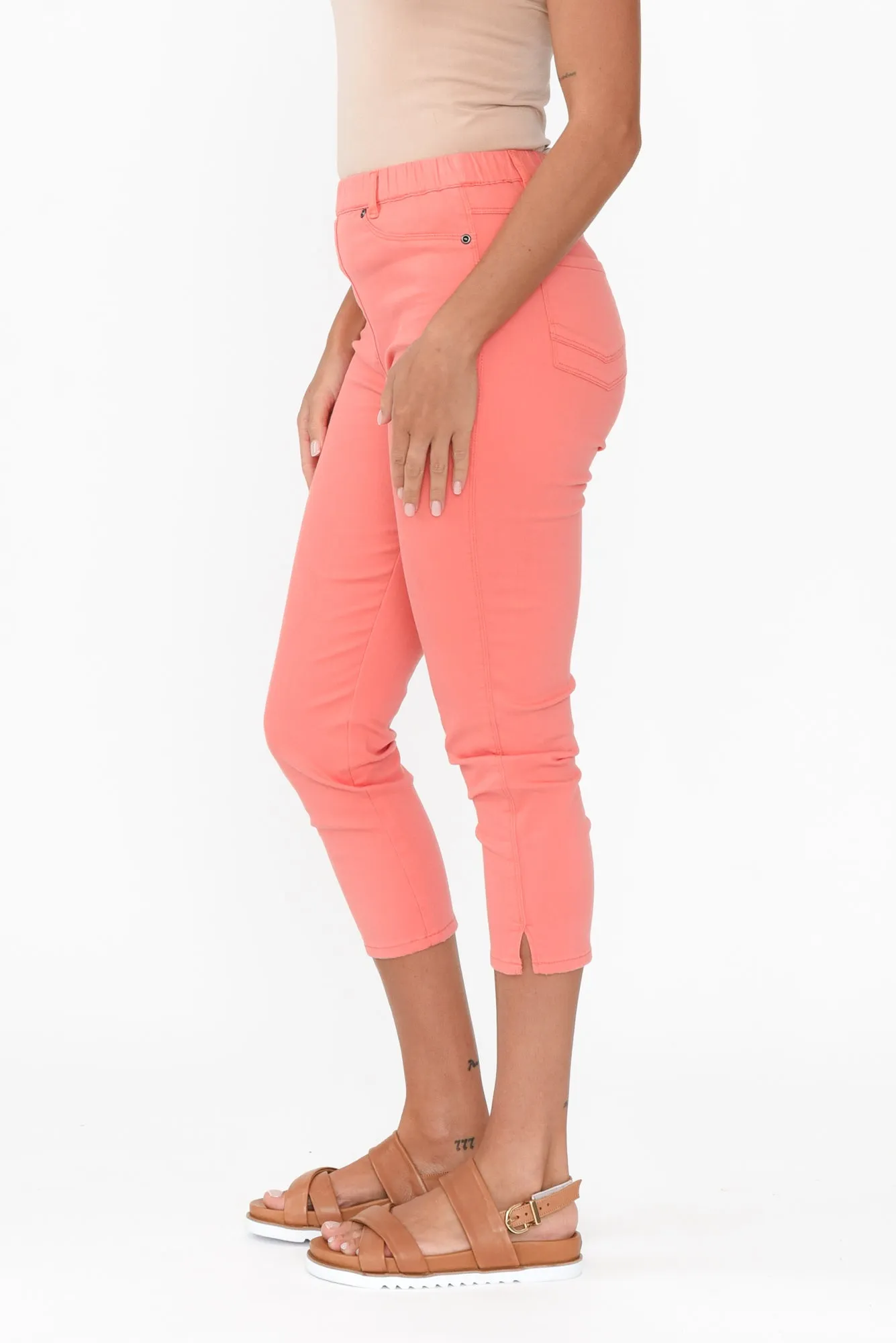 Reed Coral Stretch Cotton Capri Pants