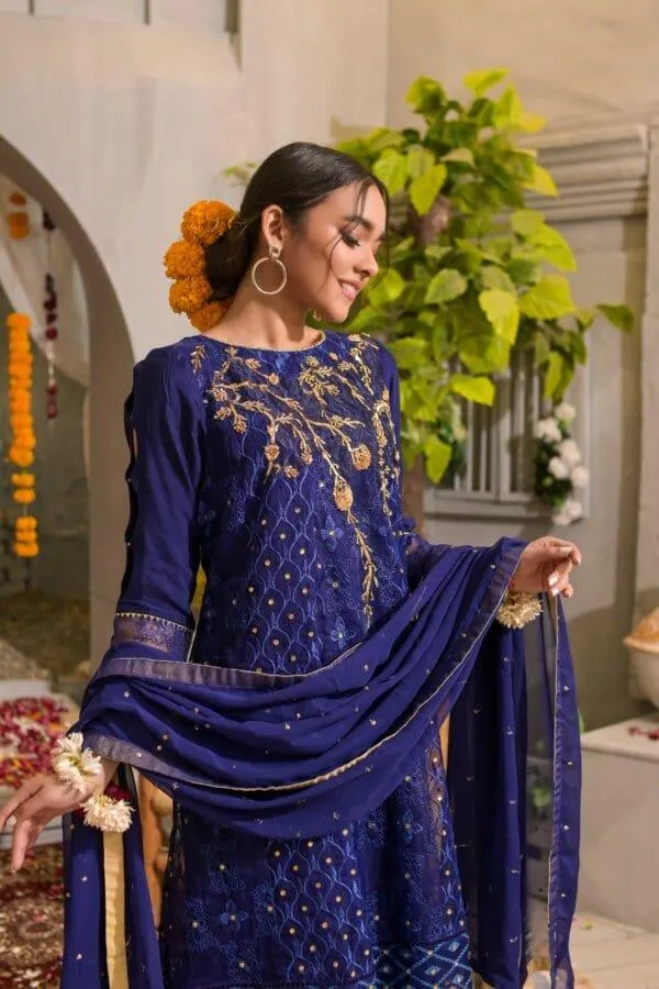 Rubys Couture - Navy Blue Organza Embroidered Frock with Raw Silk Pants - Roshanara