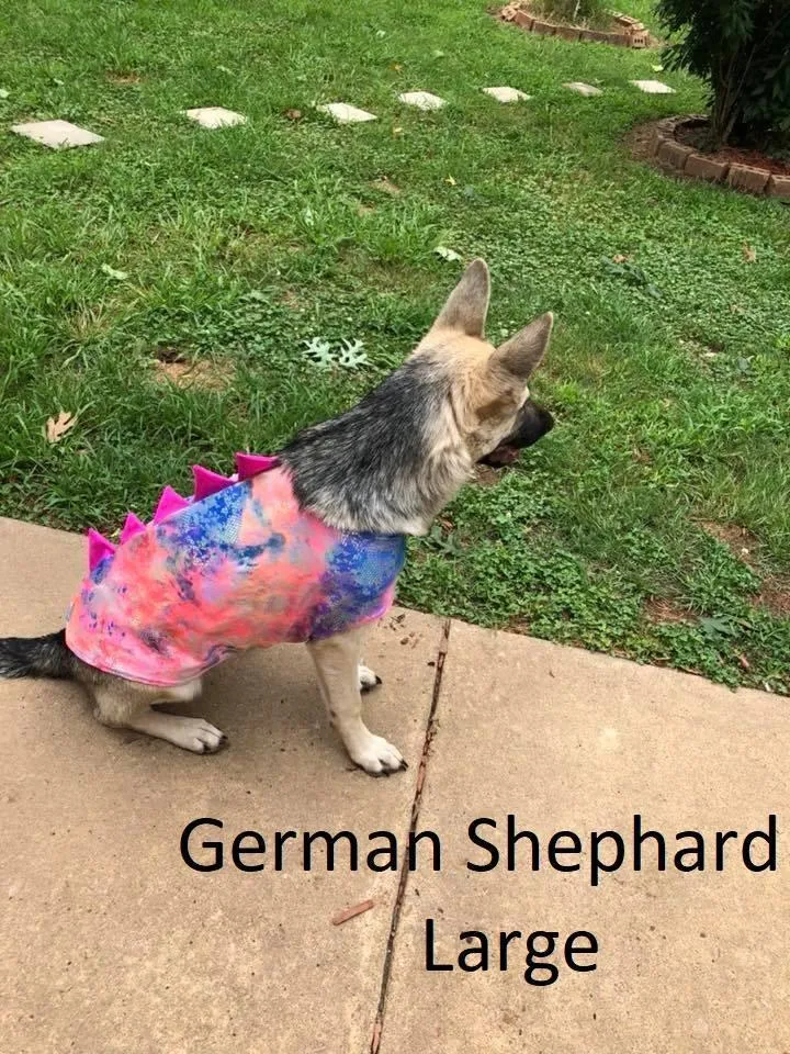 Silver & Rainbow Spiked Pet Shirt