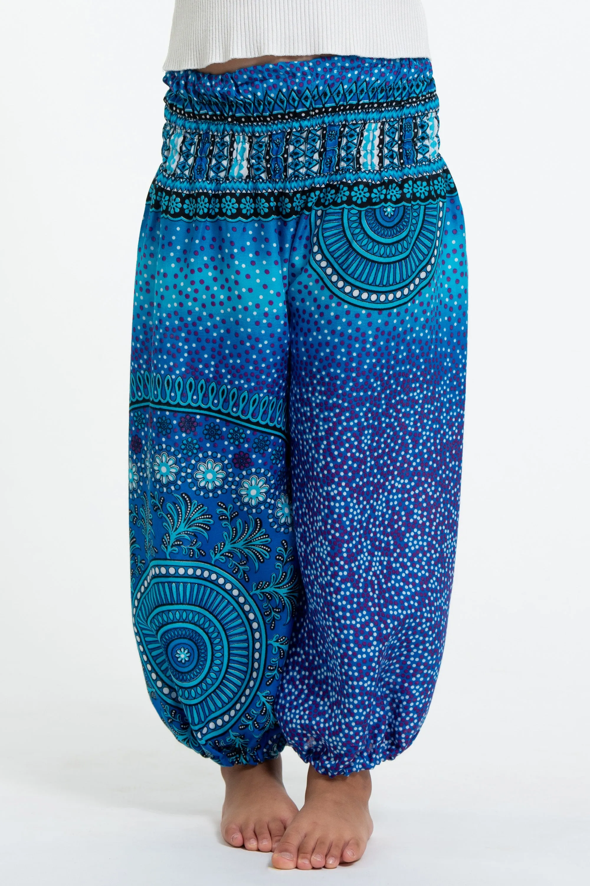 Tribal Chakras Kids Harem Pants in Blue